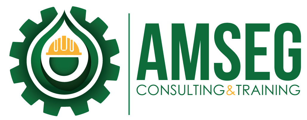 Plataforma Virtual AMSEG